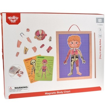 Tooky Toy Деревянная магнитная головоломка Монтессори