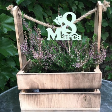 PIK 8 MARCA DZIEŃ KOBIET 1SZT 11CM PREZENT KWIATY