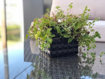ЧЕРНЫЙ КЕРАМИЧЕСКИЙ цветочный горшок Square Glamour 18 см