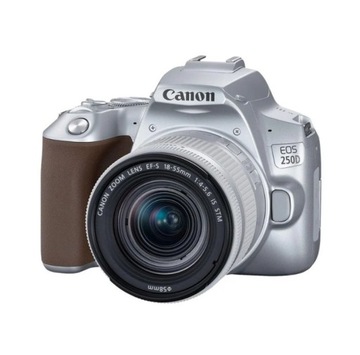Комплект Canon 250D + 18-55 IS STM, серебристый