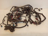 фото thumb №1, Джгут двигуна volvo v60 2.0 d4162t 31343304