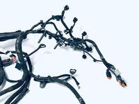 фото thumb №6, 240118723 джгут електропроводка двигуна пошкоджена renault espace v