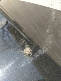 фото thumb №7, Kia ceed ii hb кришка багажника багажника 1k