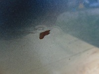 фото thumb №7, Дверь правый задняя kthb peugeot 508 i gt