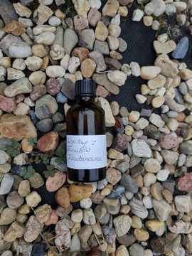 WYCIĄG Z KWIATÓW KASZTANOWCA HEMOROIDY ZAKRZEPICA BÓL STAWÓW 50ML