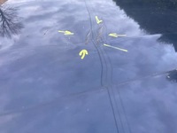 фото thumb №7, Bmw x1 e84 капот кришка двигуна перед передня оригінальний лак