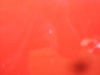 фото thumb №10, Дверь стекло левый перед fiat grande punto 5 дверь 1.4b europa 163/b