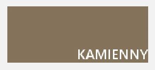 ColorJoint клей для столешниц 20г камень + аппликатор