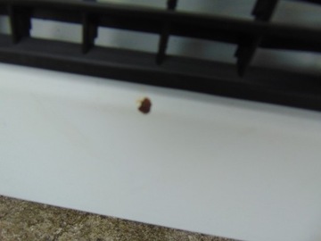 фото thumb №11, Капот крышка двигателя jumpy expert scudo 07- запчасть