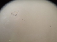 фото thumb №4, Volvo s60 v70 капот + шумоизоляция 451-46