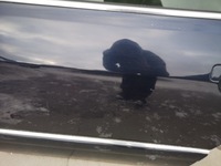 фото thumb №7, Дверь левый задняя голый audi a8 d2 przed fl lz5l lubel