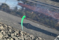 фото thumb №9, Двері ліва перед audi a3 8v cabrio