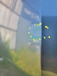 фото thumb №7, Капот skoda superb 3 iii 3v 2015-24