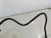 фото thumb №3, Twingo ii 1,2 шланг усилитель тормозов