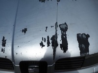 фото thumb №12, Seat toledo ii kompletny перед ls7n europa