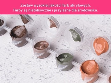 Покраска изображения по номеров 40x50 см без кадра