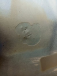 фото thumb №8, Vw tiguan ii 2 5na 2016- капот крышка двигателя ÷