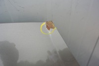 фото thumb №11, Fiat bravo ii 2 07- капот крышка двигателя оригинал