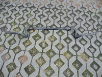 фото thumb №10, Opel vectra c 1.9 cdti 2004 тяга стабилизатора