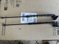 фото thumb №1, Qashqai j10 +2 амортизаторы крышки задняя