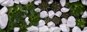 OTOCZAK THASSOS BIAŁY GRECKI 2-4cm KAMIEŃ OGRODOWY DEKORACYJNY NATURALNY