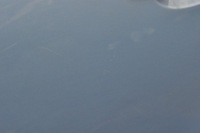 фото thumb №8, Volvo s40 ii дверь левый задняя задние полный