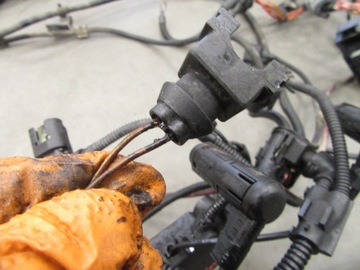 фото thumb №9, Жгут двигателя установка bmw e83 x3 3.0 m57n 204km европа 2005r. euro3