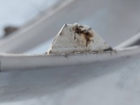 фото thumb №10, Citroen berlingo iv 2021 бампер передний