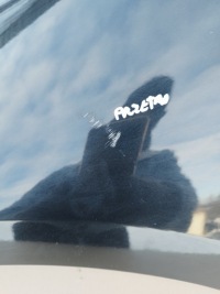 Крыло левый перед bmw 3 e92 e93 кабриолет  купе lata 2006-2010 цвет 475/9 с Разборки, фото thumb