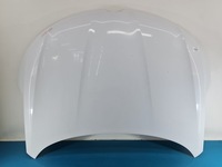 фото thumb №1, Капот передняя renault talisman 15-20 белый ov369