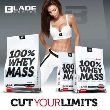 HI TEC BLADE 100% Whey Mass 3000 г GAINER MASS