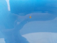 4. капот крышка двигателя nissan qashqai j10 bv4 Киев, фото thumb