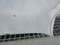 фото thumb №10, Renault grand scenic iii 1.9 dci 130 km f9q870 стеля