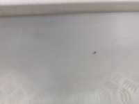 Дверь правый  задняя mazda 6 25h Киев, фото thumb