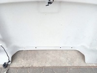 фото thumb №7, Ford transit connect mk2 2014- стеля