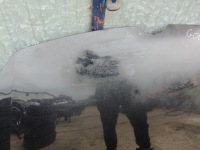 фото thumb №10, Капот крышка двигателя vw golf vi lc9x прямая демонтаж