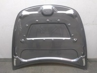 фото thumb №2, Капот tesla y