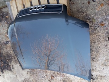 фото thumb №6, Audi a4 b6 капот lx7z решітка quattro