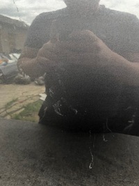 фото thumb №2, Opel insignia двері правий задня