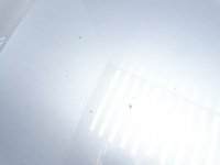 фото thumb №9, Капот крышка двигателя vw passat b7 3aa kombi lc7z