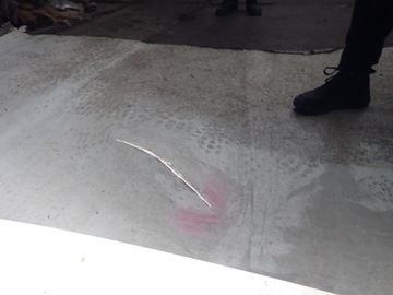 фото thumb №14, Bmw 5 g30 g31 17- капот кришка двигуна