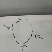 фото thumb №5, Капот volkswagen t4