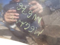 фото thumb №3, Бампер перед renault megane iii nv676