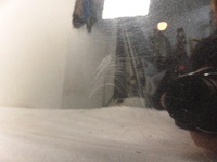 фото thumb №9, Дверь левая задние bmw x1 e84 475 black sapphire металлик suv