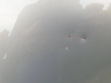 фото thumb №7, Kia sportage iii крило лівий переднє a3 оригінал