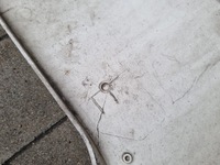 фото thumb №3, Панель фари захист корпус лампи фара daf 85 cf