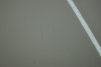 фото thumb №13, Капот крышка двигателя audi a5 8t ly9c