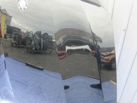 фото thumb №6, Bmw x6 e71 2009 капот решітка радіатора шумоізоляція значок kpl