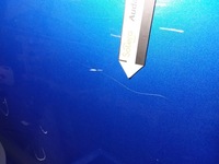 фото thumb №7, Dacia sandero ii stepway дверь задняя левая terpl