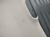 Купить Потолок 5ta867501k vw touran 2 5t 2015-2026r. оригинал, фото thumb